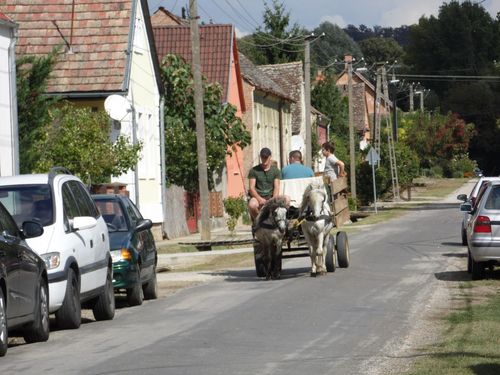 Közösségi Nap