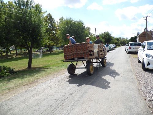 Közösségi Nap