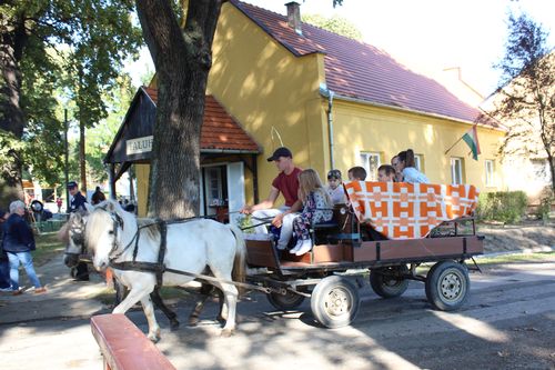 Szulimán rendezvényei